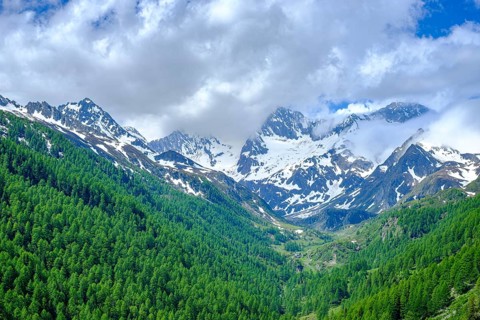 Mountain scenery in the Passeier Valley above Rabenstein, moss in Passeier, South Tyrol, Italy,