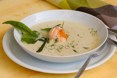Southern German cuisine, sorrel soup with char, freshwater fish, soup arranged in a plate, herbs,