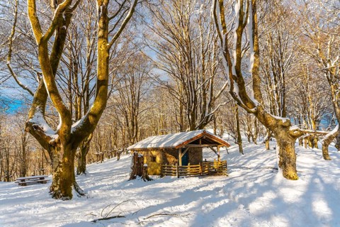 Beautiful refuge in the Oianleku natural park in the town of Oiartzun next to Peñas de Aya,
