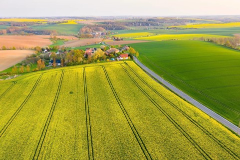 View of Ickowitz and Piskowitz in the Lommatzscher Pflege, aerial view with rape fields in bloom,