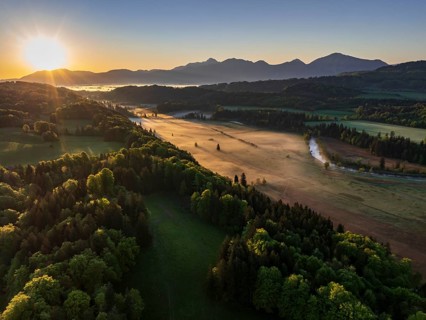 Aerial view, trees, forest, meadow, light green leaves, morning light, fog, mountains, sunny,
