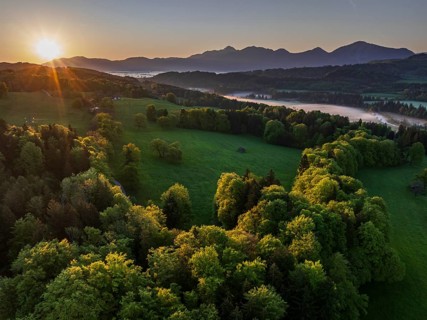 Aerial view, trees, forest, meadow, light green leaves, morning light, fog, mountains, sunny,