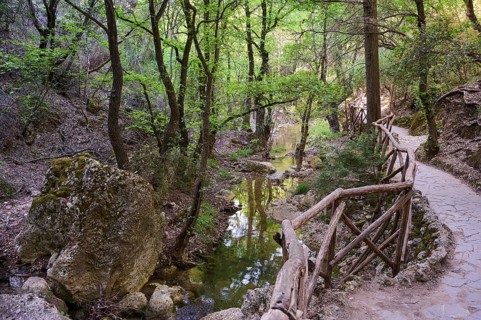 A forest path with railings leads along a small stream, Butterfly Valley, Butterfly Valley, Rhodes,