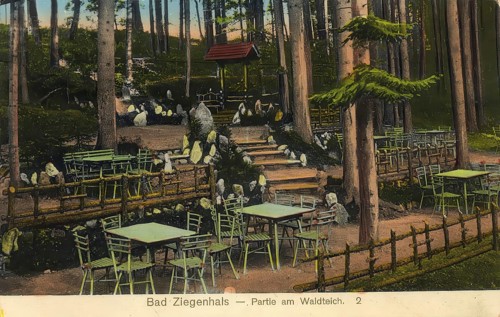 Historical postcard, picture postcard, Bad Ziegenhals in Silesia, today Glucholazy in Poland,
