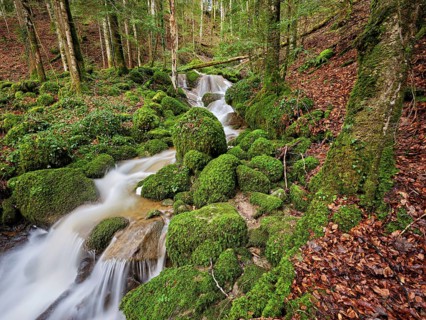 Waterfall with moss-covered rocks, Sihlsprung, Menzingen, Canton Zug, Switzerland, Europe