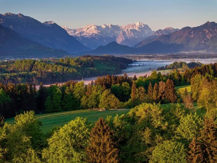 Aerial view, trees, forest, meadow, light green leaves, morning light, fog, mountains, sunny,