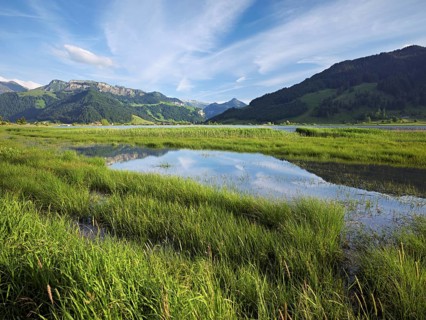Reservoir, Sihlsee, Euthal, Canton Schwyz, Switzerland, Europe