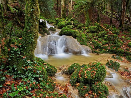Waterfall surrounded by moss-covered stones in autumnal coloured surroundings, on the river Sihl,