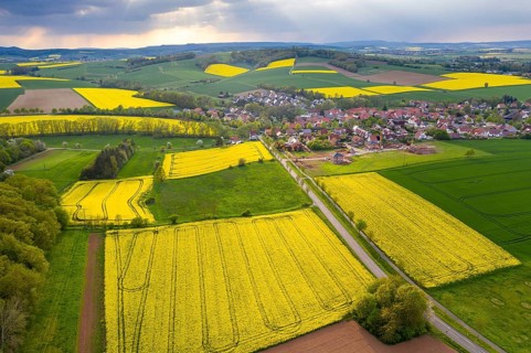 View of Tiftlingerode between blooming rape fields in rain and sunshine, Duderstadt, Lower Saxony,