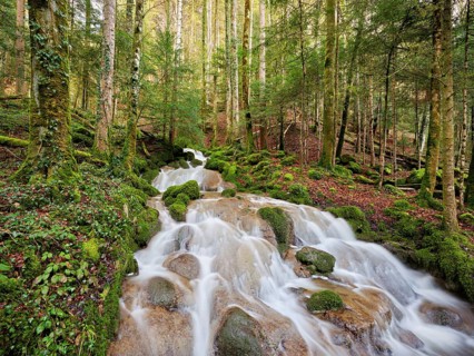 Waterfall with moss-covered rocks, Sihlsprung, Menzingen, Canton Zug, Switzerland, Europe