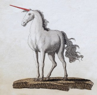 Unicorn, hand-coloured copperplate engraving from Friedrich Justin Bertuch's picture book for
