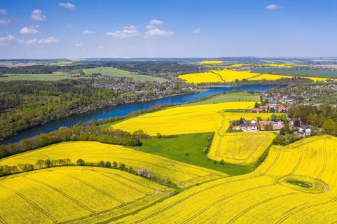 Aerial view of the Malter reservoir surrounded by blossoming rape fields, Paulsdorf (left) and
