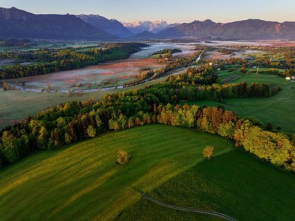 Aerial view, trees, forest, meadow, light green leaves, morning light, fog, mountains, sunny,