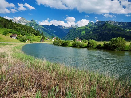 Tributary to the reservoir, Sihlsee, Euthal, Canton Schwyz, Switzerland, Europe