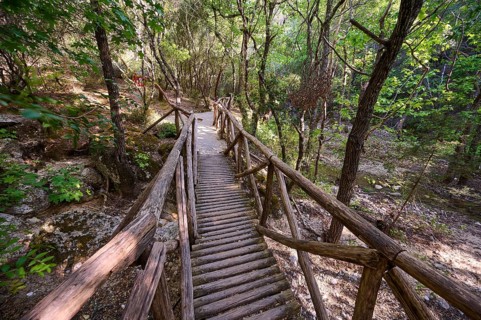 Wooden bridge leads through a quiet, wooded path, Butterfly Valley, Butterfly Valley, Rhodes,