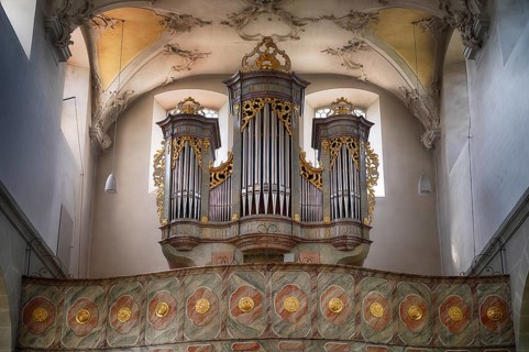 Interior view, gallery, organ, ceiling painting, ceiling fresco, collegiate church Sankt Peter und