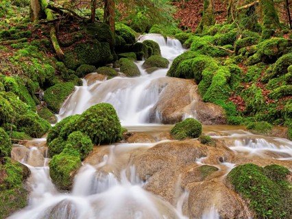 Waterfall with moss-covered rocks, Sihlsprung, Menzingen, Canton Zug, Switzerland, Europe