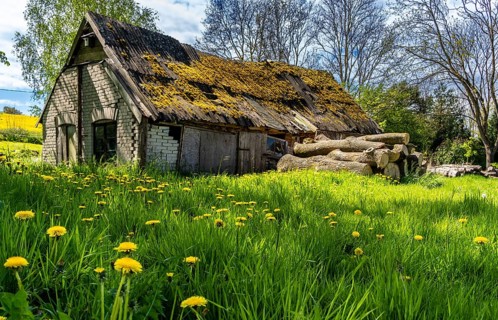 Abandoned and derelict farmhouses on undeveloped land in Rügen, Mecklenburg-Vorpommern, Germany,