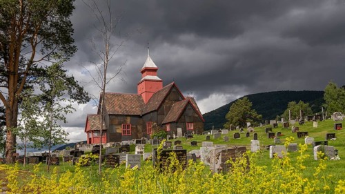 Rapeseed field in front of old church and tree-covered cemetery under a dramatic sky, Dovre church,