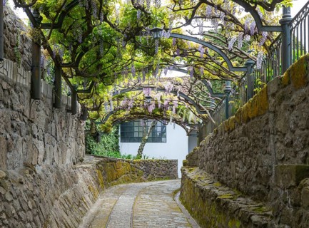 Old rail track path leading to Taylor's port lodge, Vila Nova de Gaia, Porto, Portugal, Europe