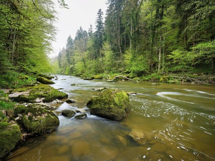Moss-covered stones on the river Sihl, Sihlsprung, Menzingen, Canton Zug, Switzerland, Europe