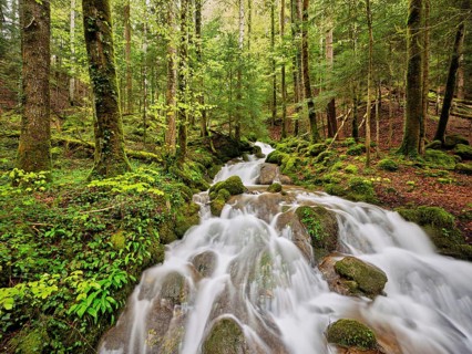 Waterfall with moss-covered rocks, Sihlsprung, Menzingen, Canton Zug, Switzerland, Europe