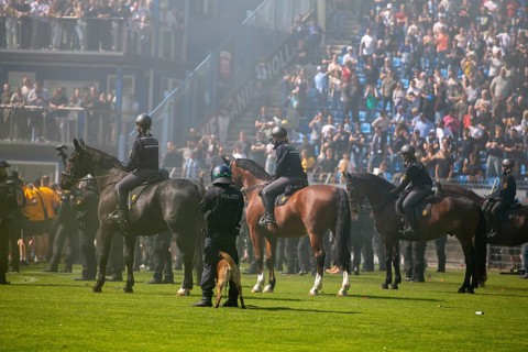 Football 3rd division, 2024/25 season, matchday 37: Waldhof Mannheim v Dynamo Dresden***Police