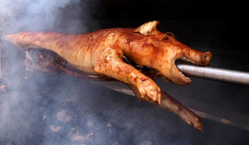 Suckling pig, pork, roasted on a spit, charcoal, Stuttgart, Baden-Württemberg, Germany, Europe