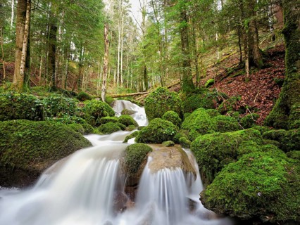 Waterfall with moss-covered rocks, Sihlsprung, Menzingen, Canton Zug, Switzerland, Europe