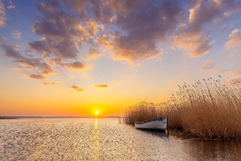 Rowing boat, rowboat along reed bed at sunset near Warthe, Rankwitz at the Lieper Winkel on the