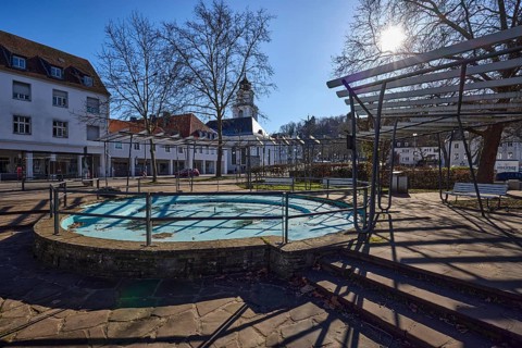 Stem plant, fountain, park, stainless steel railing, natural stone staircase, residential and
