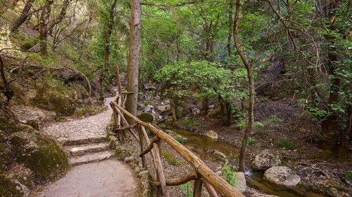 Nature trail with railings leading through a tranquil forest, Butterfly Valley, Butterfly Valley,