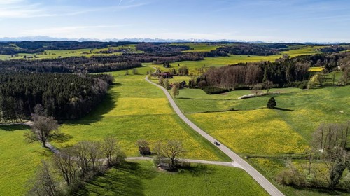 Blooming meadows and forests in the hilly foothills of the Alps near Mindelheim in spring, in the