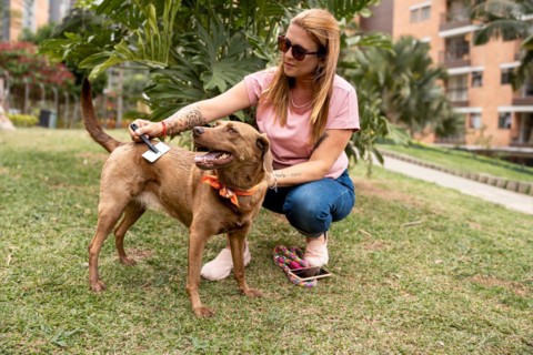 A middle-aged woman wearing sunglasses brushes her dog, enjoying a break in the park