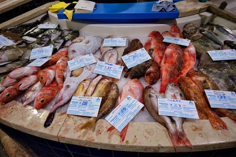 Fish counter, fresh fish, display of fresh fish, gurnard, monkfish, bream, sea bass, ray, market