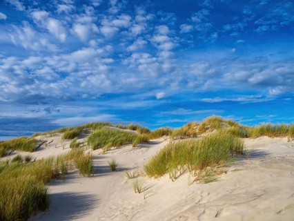 Amrum Island, landscape Germany, dune, dunes, grass, structure, form, vegetation, Amrum, Amrum
