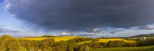 Spring landscape on the Alte Poststraße with blossoming rape fields in the Osterzgebirge, Rippien,