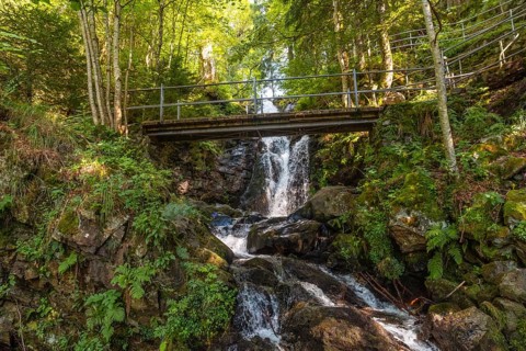 Wooden bridge in the upper area of ??the Todtnau waterfall in the Black Forest in Germany