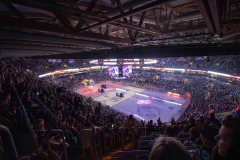 DEL, German Ice Hockey League season 2024/25, playoff quarter-finals, game 5: Adler Mannheim vs Red