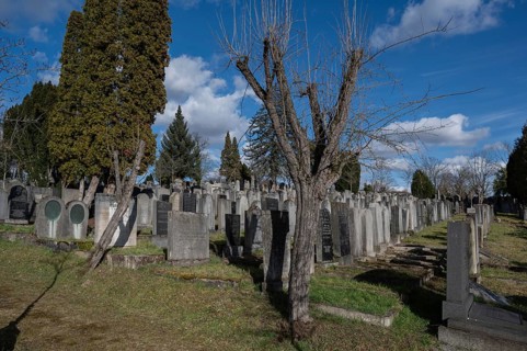 Old graves at the Israeli cemetery, inaugurated in 1882, Werner-von Siemens Str. 2, Würzburg, Lower