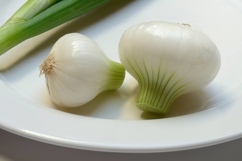Onion, spring onions on a plate