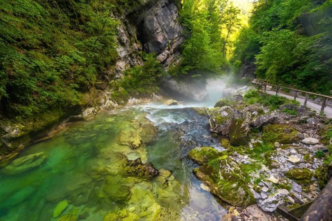 Clean water flowing through vintgar gorge near bled in slovenia, creating a beautiful natural