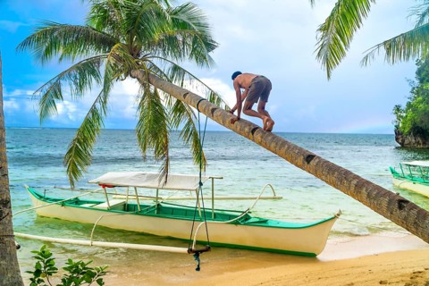 Tourist climbing a leaning palm tree over a tropical beach with traditional outrigger boats on