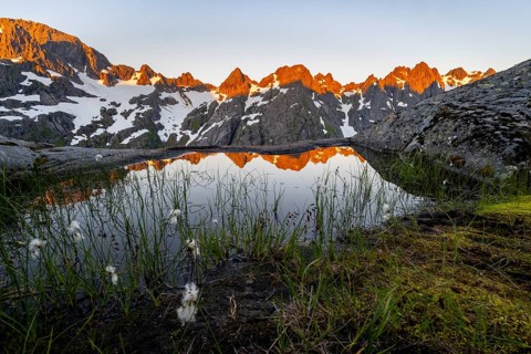 Rocky mountain peaks with reflection, small pond with cotton grass in moor landscape at Trollfjord