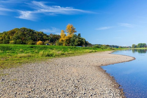 On the Elbe near Meißen opposite Karpfenschänke, Meißen, Saxon Elbland, Saxony, Germany, Europe
