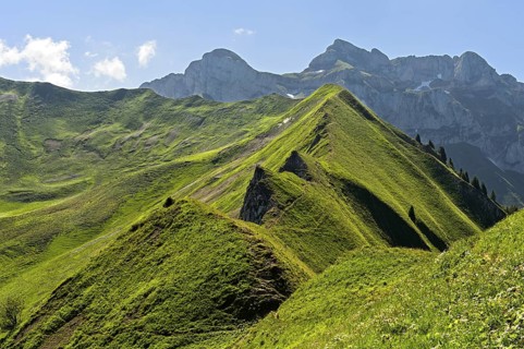 View from the Col de Bise mountain pass over green alpine meadows on both sides of the sharp Velan
