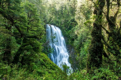 Waterfall in the jungle, Pumalin-Douglas Tompkins National Park, Chaiten, Los Lagos region,