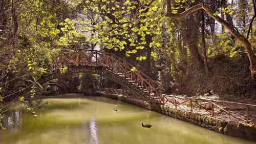Idyllic wooden bridge over a peaceful pond in a green forest, Rodini Park, City Park, Rhodes Town,