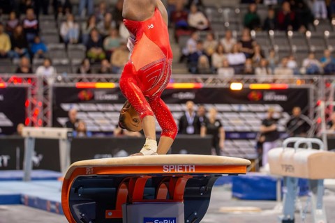 EnBW DTB-Pokal Stuttgart 2025, Mixed Cup***Gabrielle Black Canada on vault