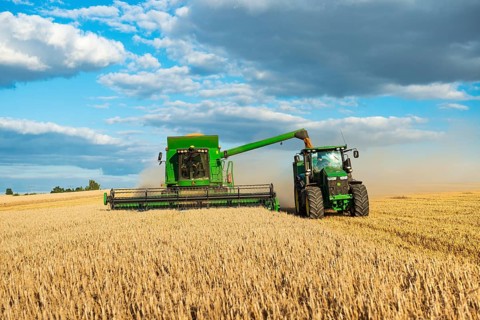 Combine harvester harvesting wheat and unloading grain onto tractor with trailer, endless